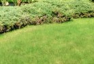 Southern Tablelands lawn-mowing-20.jpg; ?>