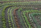 Southern Tablelands organic-gardening-10.jpg; ?>